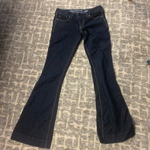 Express Stella Regular Fit Low Rise Jean